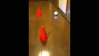 Sphero 20 controlled by Scratch [upl. by Thurman]