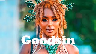 Afrobeat Type beat 2024 Burna Boy Ft Rema Type Beat quotGoodsinquot Afrobeat Instrumental 2024 [upl. by Gloriana]