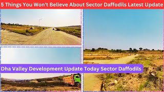 5 Things You Wont Believe About Sector Daffodils Latest Update [upl. by Eimma611]