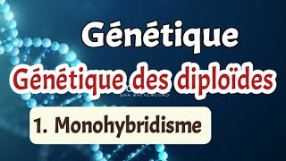 Génétique Chapitre 3 génétique des diploïdes partie 2 Monohybridisme [upl. by Pam]