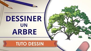 Dessiner un Arbre  Tuto Dessin [upl. by Matlick]