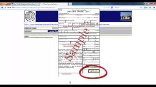 SCgov Traffic Ticket Payment Tutorial [upl. by Navinod]