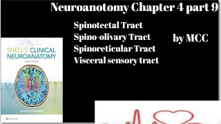 Neuroanatomy chapter 4 part 9Spinotectal TractSpinoreticular TractSpino olivary TractVisceral [upl. by Eiruam970]