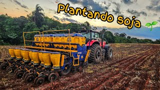 ✅Plantio de SOJA iniciado  safra 2425  Mf 7318tatu 10 L [upl. by Glovsky]