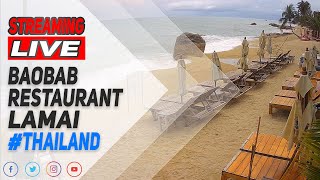 🔴 WebCam LIVE BaoBab Restaurant Lamai Thailand [upl. by Gnaoh]