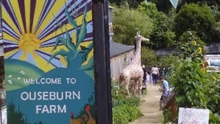 Ouseburn Farm Newcastle [upl. by Naltiac704]