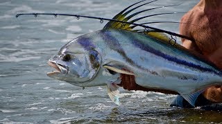 Costa Rica Roosterfish From The Beach and a hook through my finger [upl. by Ahslek57]