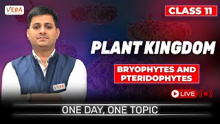 Bryophytes and Pteridophytes  Plant Kingdom  class 11  Biology  One Day One Topic [upl. by Linette]