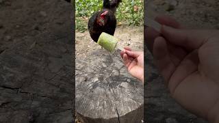 Kivili Üzümlü Meybuz 🍇🍡 Kiwi Grape Juice Üzüm kiwi tavuk chiken [upl. by Hines643]