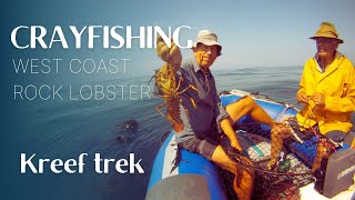 Watch how we catch crayfish in South Africa  West Coast Rock Lobster Season 20212022 [upl. by Jenda658]