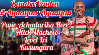 Pane Achadarika Here💥 Alick Macheso🎸 Level Iri KuSungura💥 Tiudzei Tinzwe Kut Ndiani🎸1tranding [upl. by Asenad]