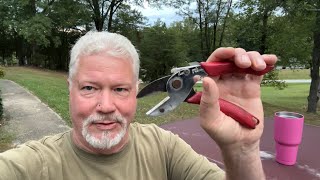 Hand Drill Harvesting Roadside Horseweed Leaves Fire Roll [upl. by Yreved242]