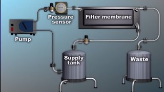 Concentration and Diafiltration GFP Purification part 6 of 6 [upl. by Burnard473]