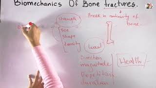 Biomechanics of bone fractures in Urdu\Hindi  Basic concept building [upl. by Acinok]