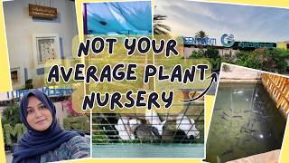 BEST PLANT NURSERY IN OMAN 360 GREEN FARM  PLANT SHOP MUSCAT OMAN [upl. by Fiester]