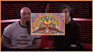 Hamilton Morris Shares His DMT Experience🤯  Joe Rogan Clips [upl. by Sulokcin]