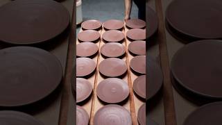 Using VERY Soft Clay to Throw Plates [upl. by Etnahs]