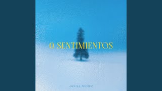 0 Sentimientos [upl. by Ariday]