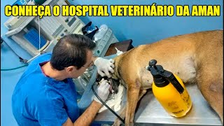 Conheça o Hospital Veterinário da AMAN [upl. by Aramois]