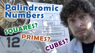 The Perplexing Patterns of Palindromic Numbers [upl. by Lindsay]