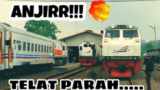 HD TELAT PARAH 3 Kereta Bertemu sekaligus di Stasiun Kalisat [upl. by Emiaj]