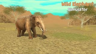 Wild Elephant Sim 3D  Gameplay Android [upl. by Asi]