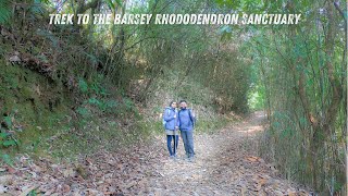 Trek to the Barsey Rhododendron Sanctuary  West Sikkim [upl. by Andri934]