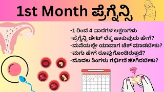 ಮೊದಲ ತಿಂಗಳ ಗರ್ಭಿಣಿ ಲಕ್ಷಣಗಳು  1st Month Pregnancy Symptoms in Kannada  1 to 4 Weeks of Pregnancy [upl. by Iarahs112]