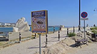 6 Novembre 2024 Ayia Napa Harbour Limanaki Beach Cyprus [upl. by Norel]