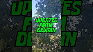 PT1 Updates from Dewain Hanover PA for Crane amp Tree Removal 🏗️🌲💪treeservice crane arborpro [upl. by Barret743]