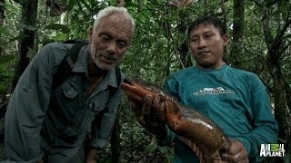 Face to Face with an Electric Eel  River Monsters [upl. by Persian]