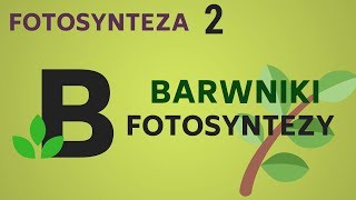 BARWNIKI FOTOSYNTEZY  fotosynteza  KOREPETYCJE z BIOLOGII  56 [upl. by Eugeniusz]