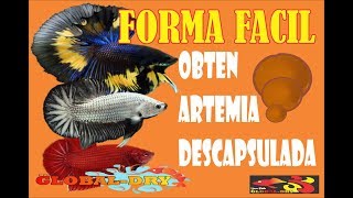 ARTEMIA DESCAPSULADA QUE ES Y como se obtiene Global Dry [upl. by Fisa998]