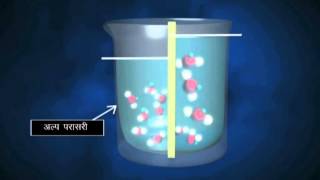 Diffusion and Osmosis  Hindi [upl. by Nwahsyt]