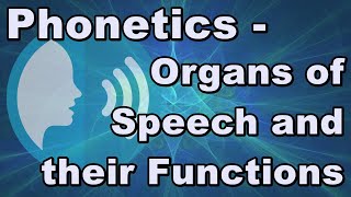 Phonetics  Organs of Speech and their Functions [upl. by Neoma]