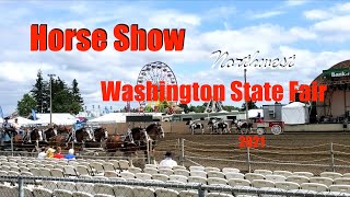 Horse Show Washington State Fair Lynden Fair 2021 [upl. by Akkeber]