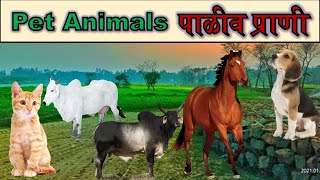 पाळीव प्राण्यांची नावे l पाळीव प्राणी l Paliv Prani l Domestic Animals l Animals  Pranyanchi Nave [upl. by Alleyne]