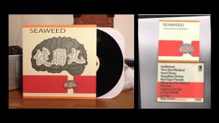 Seaweed  Warsaw Joy Division cover [upl. by Mike778]