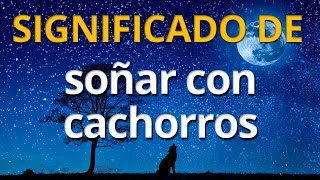 Qué significa soñar con cachorros 💤 Interpretación de los Sueños [upl. by Derag]