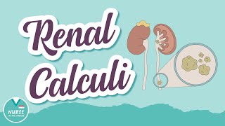 Renal Calculi AKA quotKidney Stonesquot  MedSurg Help for Nursing Students [upl. by Cappella]