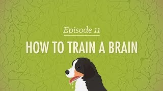 How to Train a Brain Crash Course Psychology 11 [upl. by Enoed]