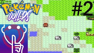 Open World Pokemon  Pokemon Wilds [upl. by Heise]