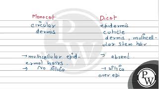 Distinguish between monocot stem and dicot stem [upl. by Albright]