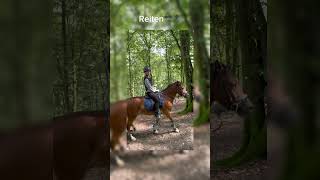 Brauch keine Tipps hab dafür eine Reitlehrerin🤭 edit horse foreveryoung pferdereiten [upl. by Airdni]