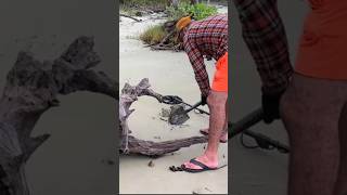 The most dangerous beach in the world gold 😱  shorts metaldetecting treasurefind dweller find [upl. by Stout]