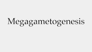 How to Pronounce Megagametogenesis [upl. by Swor118]