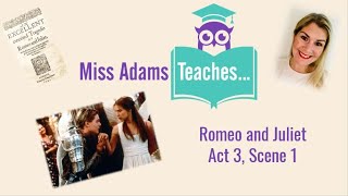 Romeo and Juliet  Act 3 Scene 1 Analysis [upl. by Yoreel]