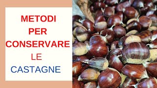 Castagne come conservarle  3 metodi facili super testati [upl. by Osterhus838]