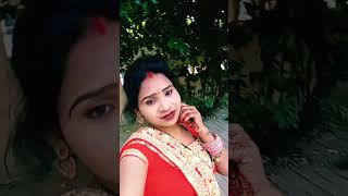 song hindisong bollywood ♥️♥️♥️♥️ [upl. by Odnanref]