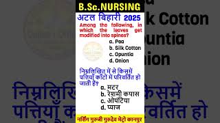 B SC Nursing Entrance Exam 2025 Details ll B SC Nursing Entrance Exam 2025 Dates ll Syllabus Nurse 6 [upl. by Aseela1]